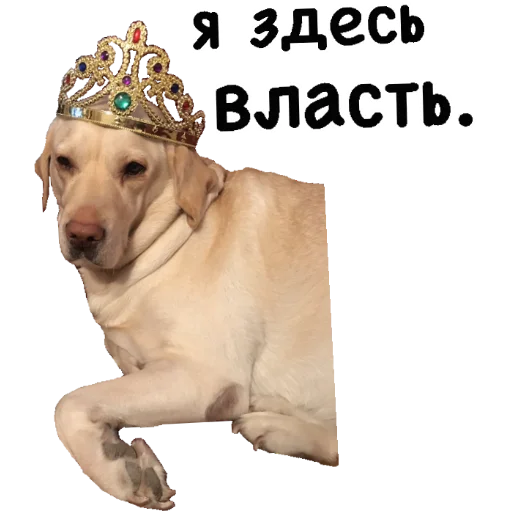👑 Стикер «Actual» для Telegram