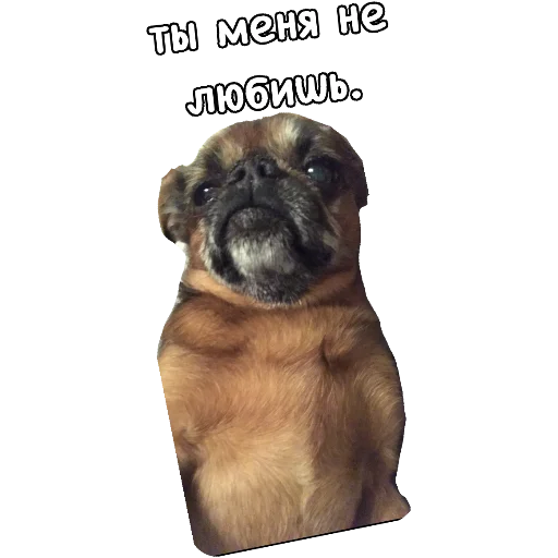 💔 Стикер «Actual» для Telegram