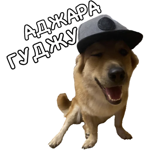 😝 Стикер «Actual» для Telegram