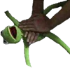 😵 Эмодзи «Kermit The Frog Emoji» для Telegram