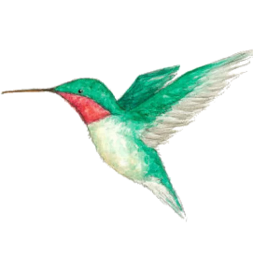 🕊 Стикер «book will live» для Telegram