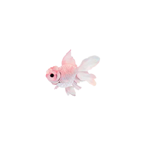 🐠 Стикер «book will live» для Telegram