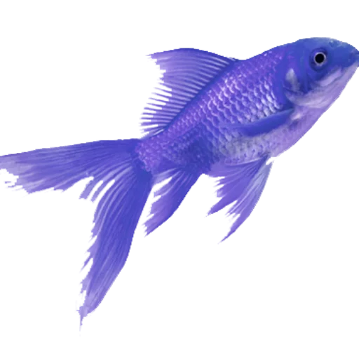 🐠 Стикер «book will live» для Telegram