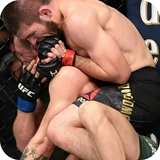 💪 Стикер «Khabib Nurmagomedov» для Telegram