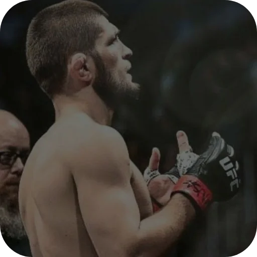 🔥 Стикер «Khabib Nurmagomedov» для Telegram