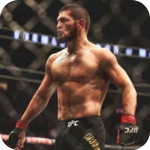🔥 Стикер «Khabib Nurmagomedov» для Telegram