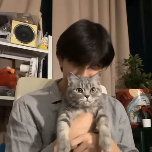 🤩 Стикер «khao» для Telegram