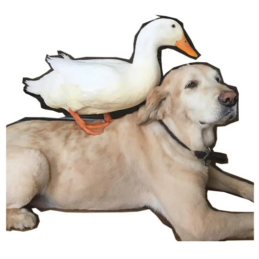 😇 Стикер «Khe v C Mamuth» для Telegram