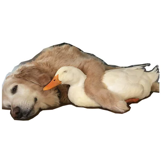 🤗 Стикер «Khe v C Mamuth» для Telegram