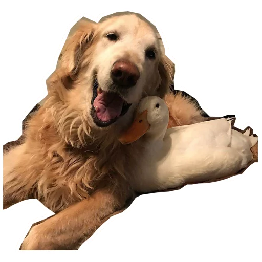 😁 Стикер «Khe v C Mamuth» для Telegram