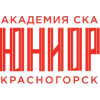 Стикер 55 Ice