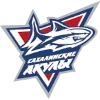 Стикер 53 Ice