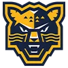 🐆 Эмодзи «KHL teams» для Telegram