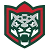 🟢 Эмодзи «KHL teams» для Telegram