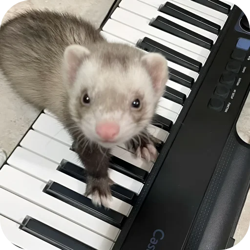 🥰 Стикер «Хорьки» для Telegram