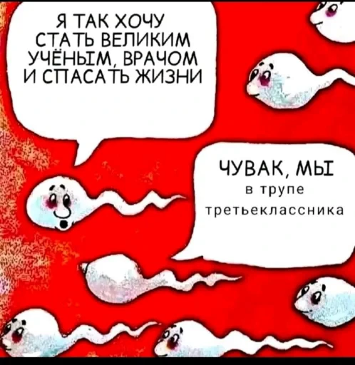 🤩 Стикер «Хуйню смарозил» для Telegram