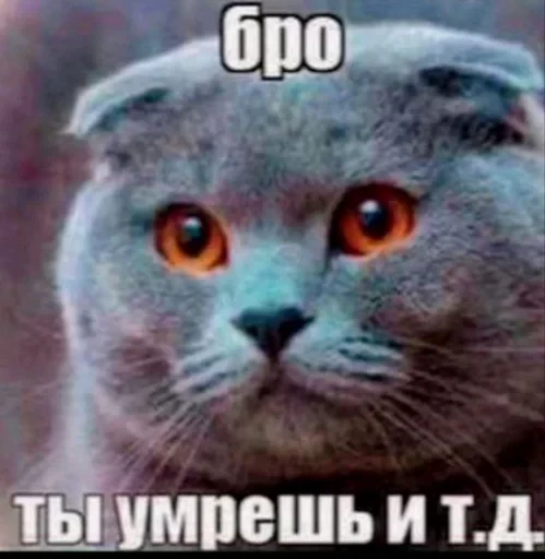 🤩 Стикер «Хуйню смарозил» для Telegram