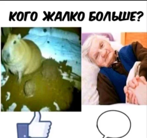 🤩 Стикер «Хуйню смарозил» для Telegram