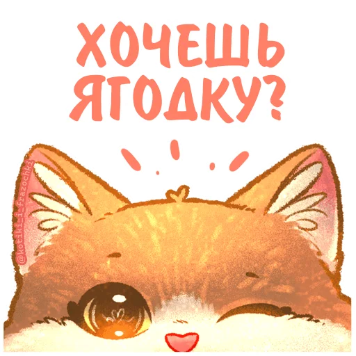 🤨 Стикер «летние котики» для Telegram