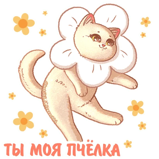 🌺 Стикер «летние котики» для Telegram