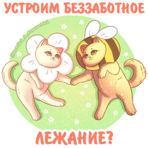 🐝 Стикер «летние котики» для Telegram