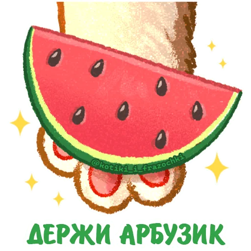 🍉 Стикер «летние котики» для Telegram