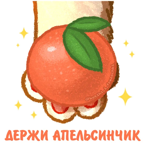 🍊 Стикер «летние котики» для Telegram