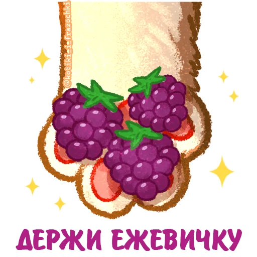 🍇 Стикер «летние котики» для Telegram