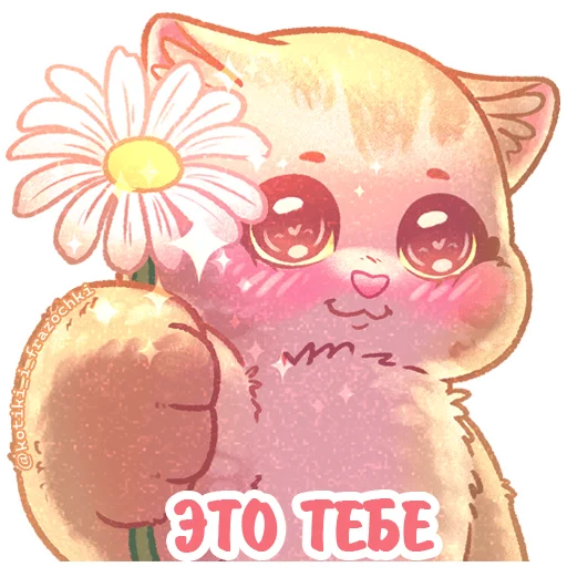 🌸 Стикер «летние котики» для Telegram