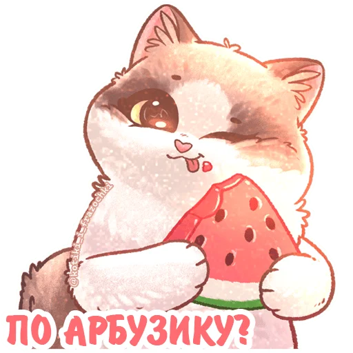 🍉 Стикер «летние котики» для Telegram