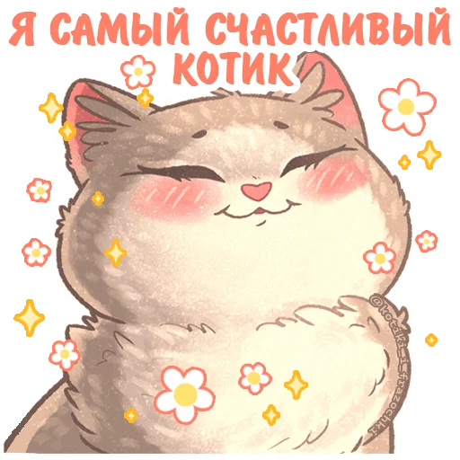 🤩 Стикер «летние котики» для Telegram