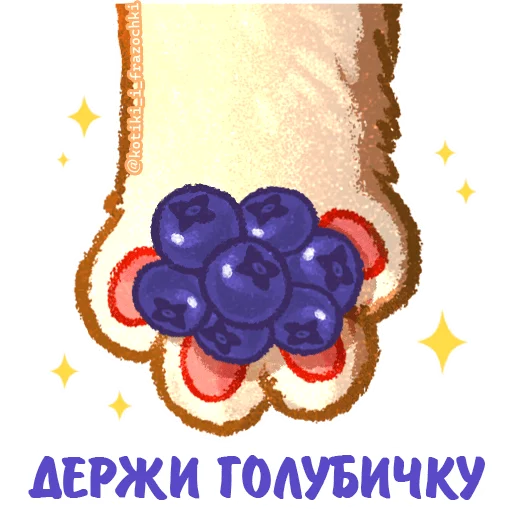 🫐 Стикер «летние котики» для Telegram