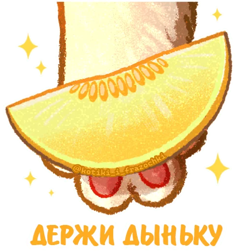 🍈 Стикер «летние котики» для Telegram