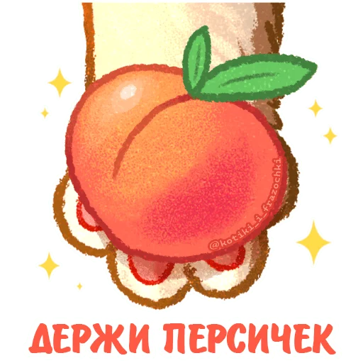 🍑 Стикер «летние котики» для Telegram