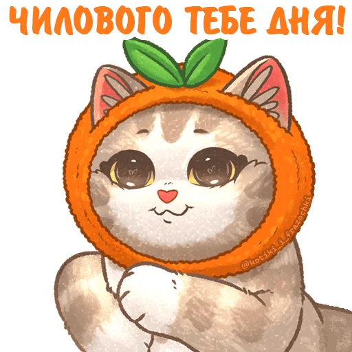 🍊 Стикер «летние котики» для Telegram