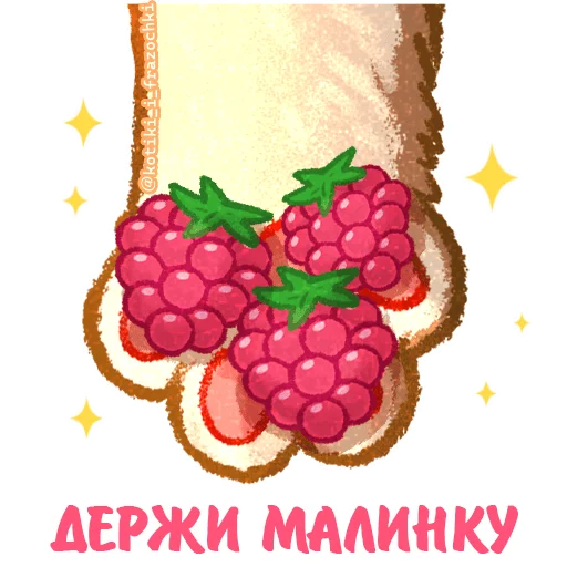 🍇 Стикер «летние котики» для Telegram
