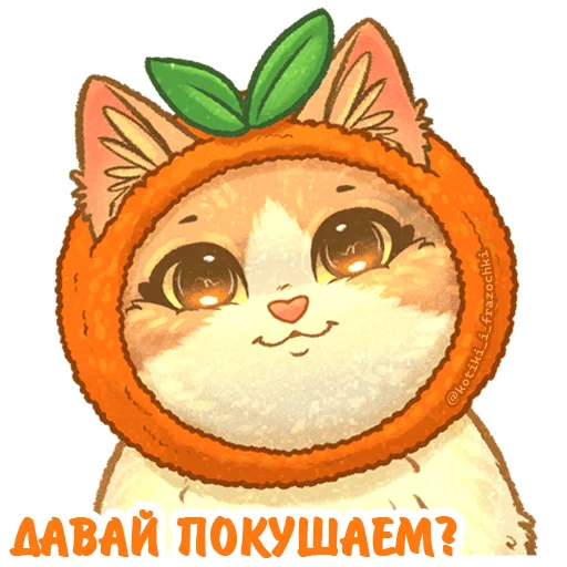 🍊 Стикер «летние котики» для Telegram