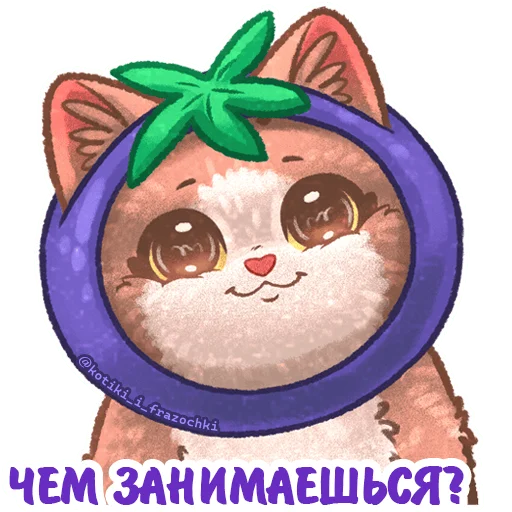 🫐 Стикер «летние котики» для Telegram