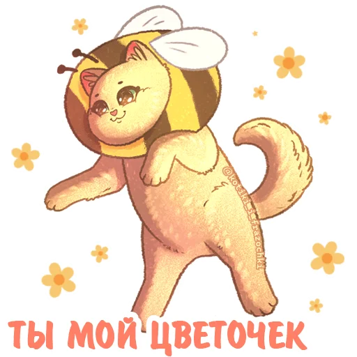 🐝 Стикер «летние котики» для Telegram