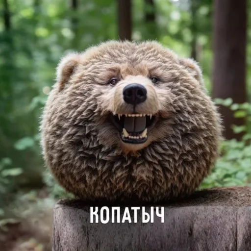Стикерпак СмешарикиIRL для Telegram