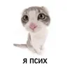 Стикер 14 🌟 убивашки - killcore emoji