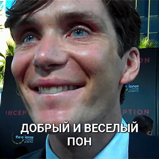 😌 Стикер «cillian murphy pon» для Telegram