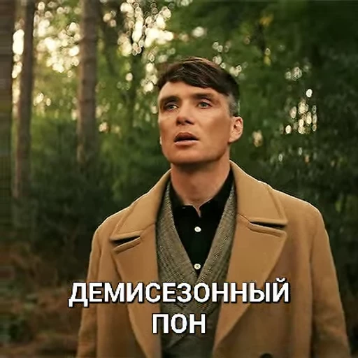 🍂 Стикер «cillian murphy pon» для Telegram