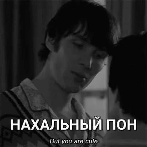 😼 Стикер «cillian murphy pon» для Telegram