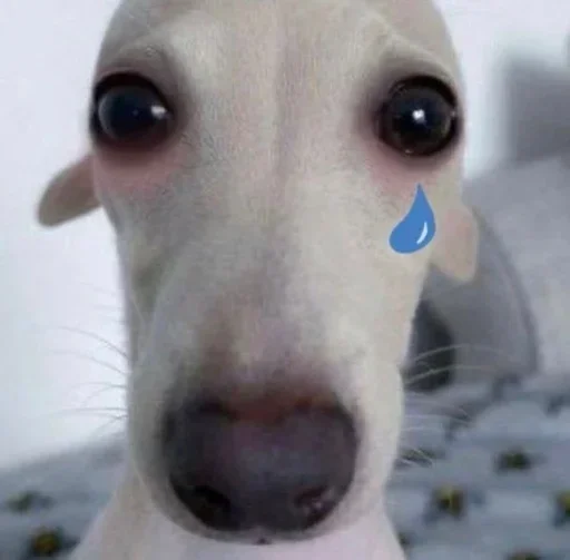 😢 Стикер «Смешные Псины» для Telegram