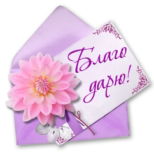🌷 Стикер «Добро и радость» для Telegram