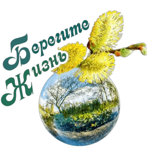 🌍 Стикер «Школа вежливости» для Telegram