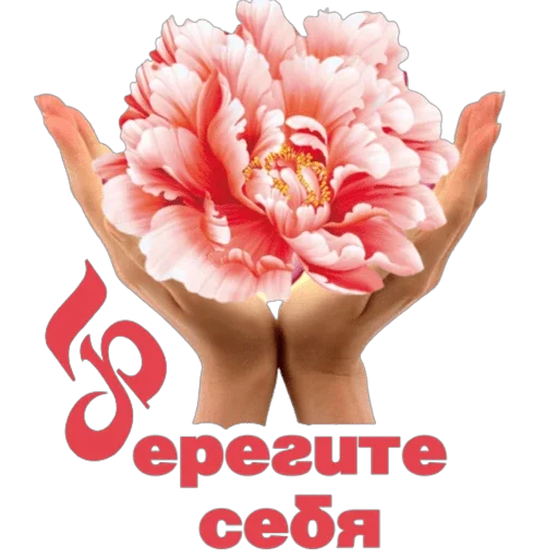 😽 Стикер «Школа вежливости» для Telegram