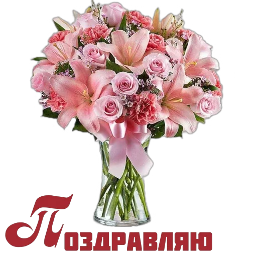 🙌 Стикер «Школа вежливости» для Telegram