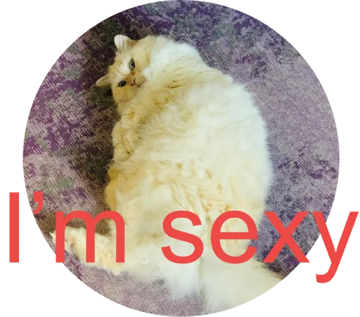 😻 Стикер «Кинкиса» для Telegram